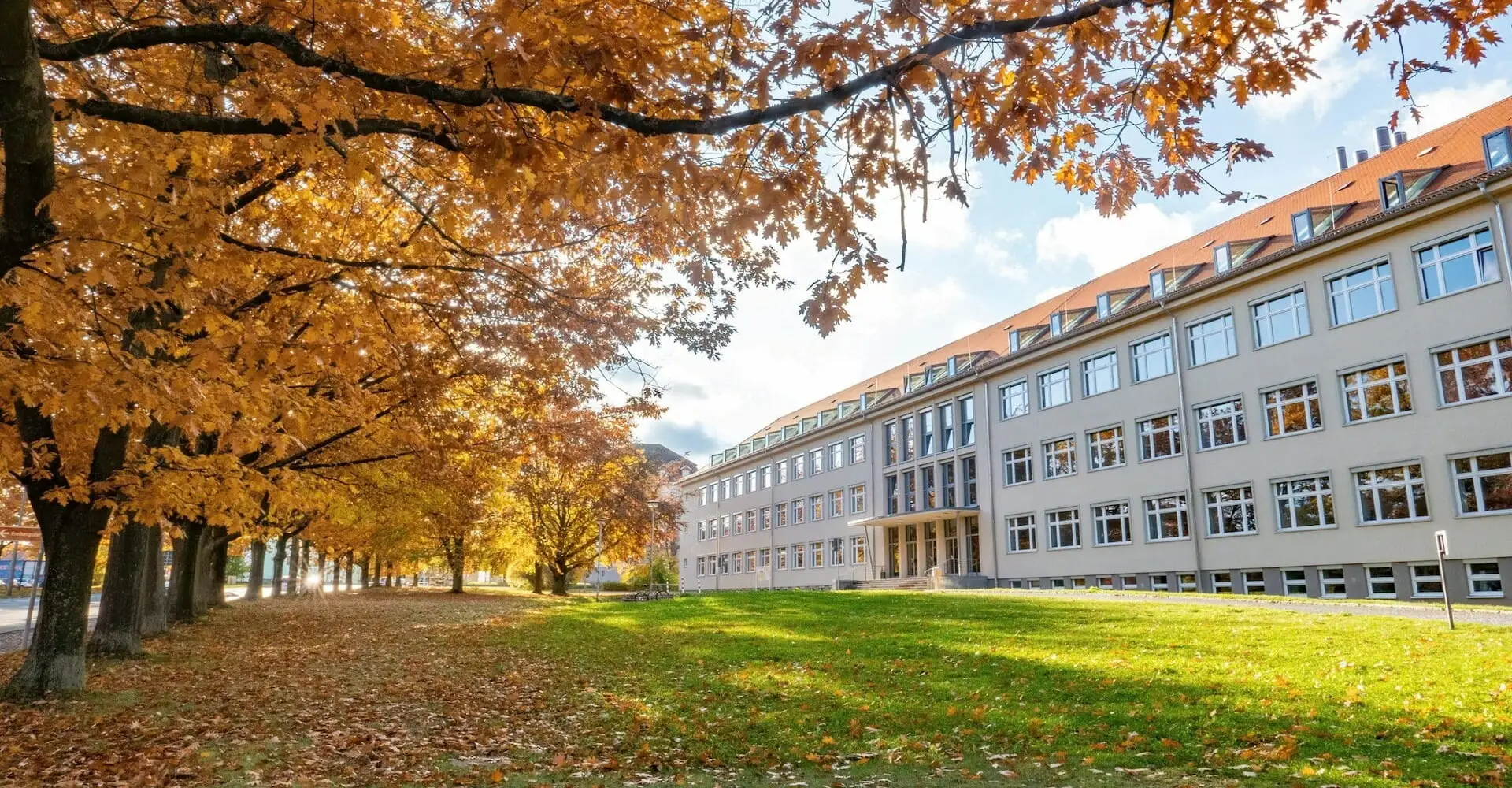 Office building with autumn foliage – Vistiveri Consulting